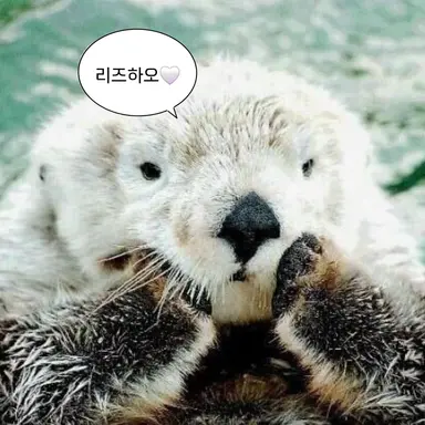 Profile image of 리즈하오