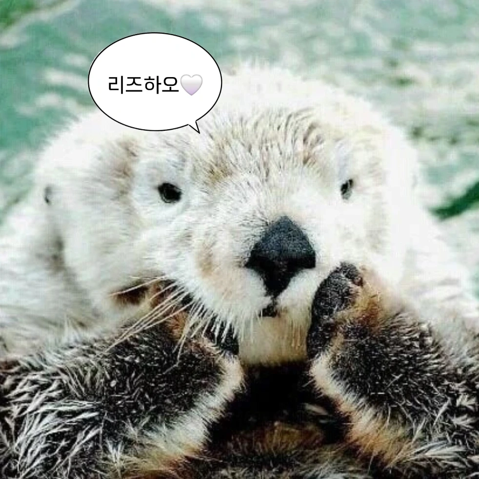 리즈하오