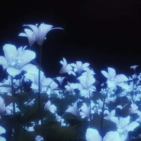 midnight.의 정 형준
