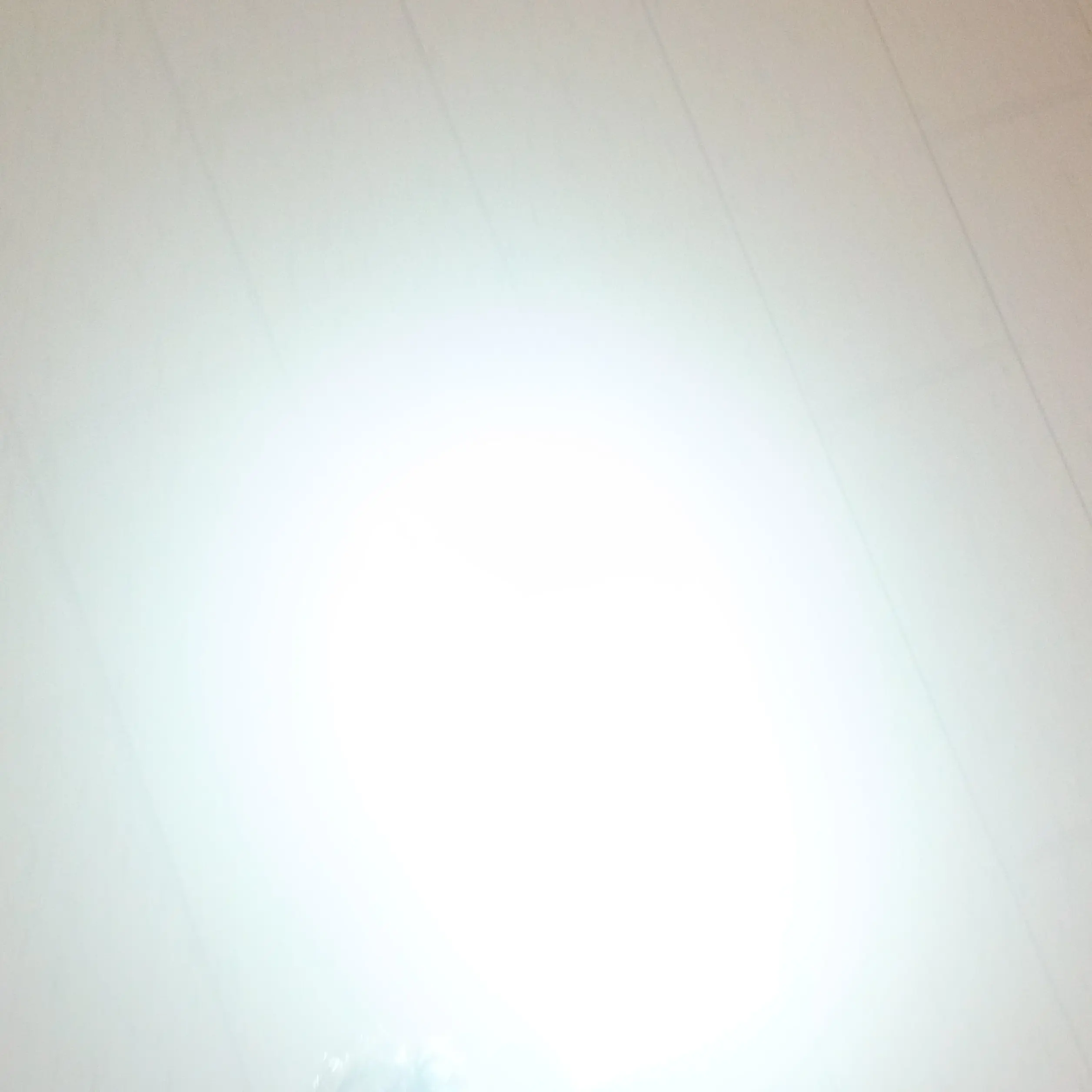 GaudyPig3632의 한지성