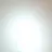 한지성