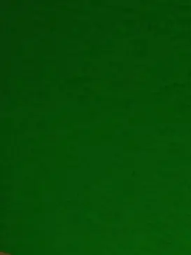 BriskMucus8946의 정공룡