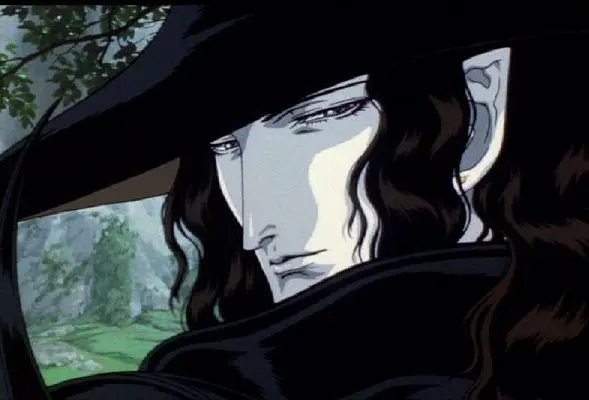 Profile image of D