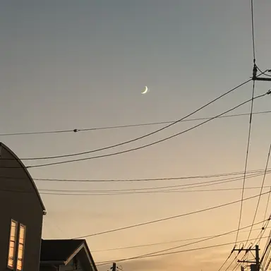 Profile image of ミンギュ