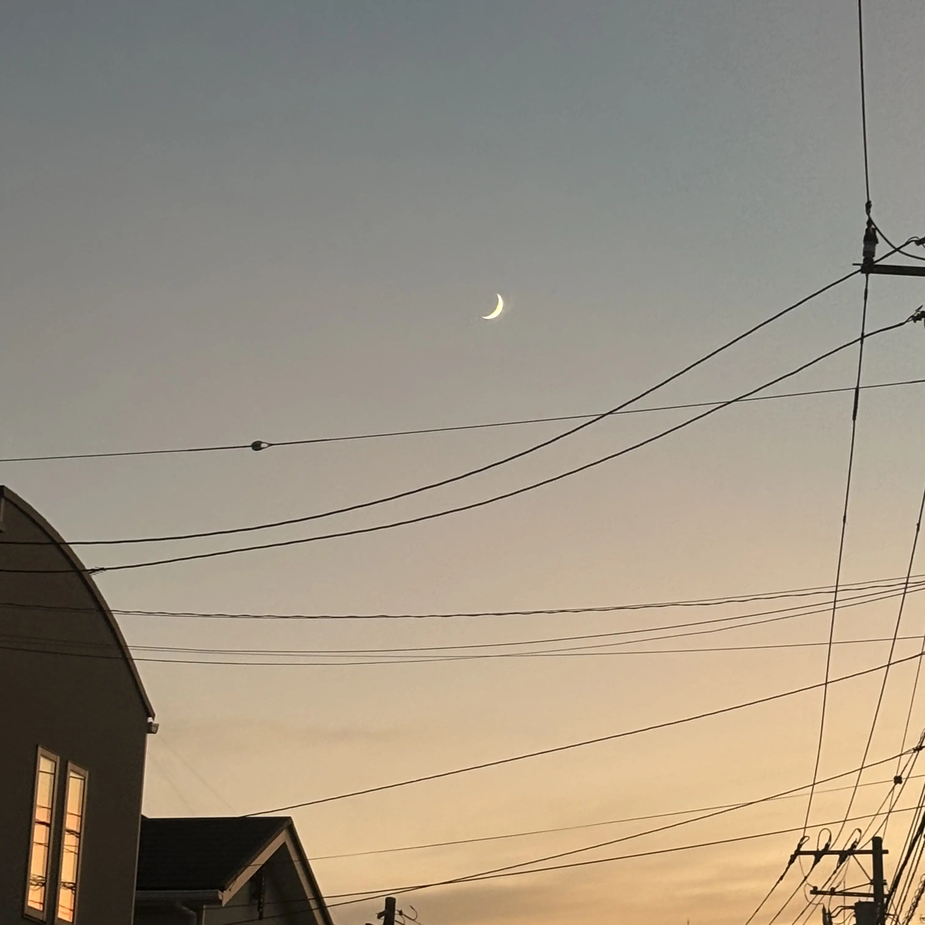 BoldNeck2001의 君の世界