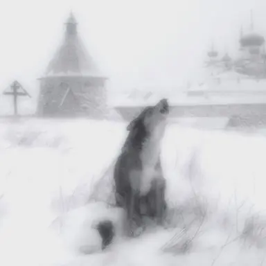 Profile image of 篠塚大輝