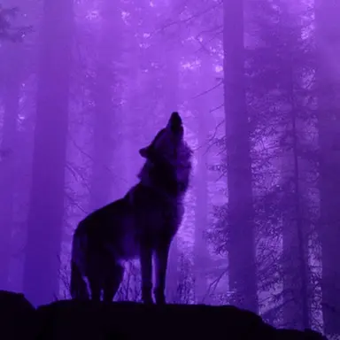 Profile image of 菊池風磨