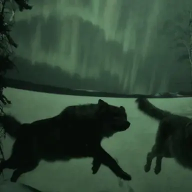 Profile image of 原嘉孝