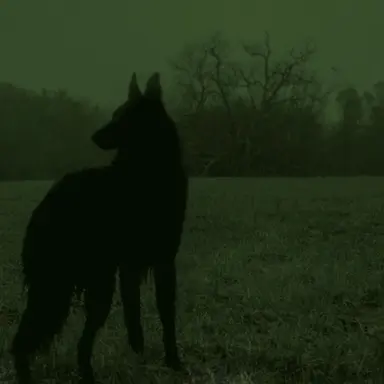 Profile image of 松島聡