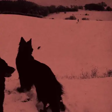 Profile image of 佐藤勝利