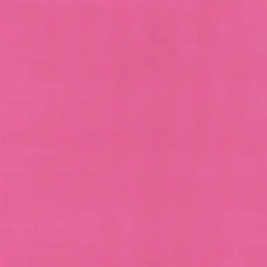 Profile image of せいら
