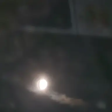 Profile image of 로희