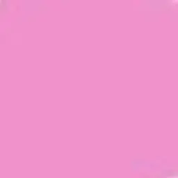 Profile image of ないこ