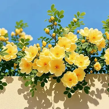 Profile image of 한유성