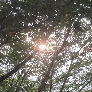 Profile image of 名前募集中