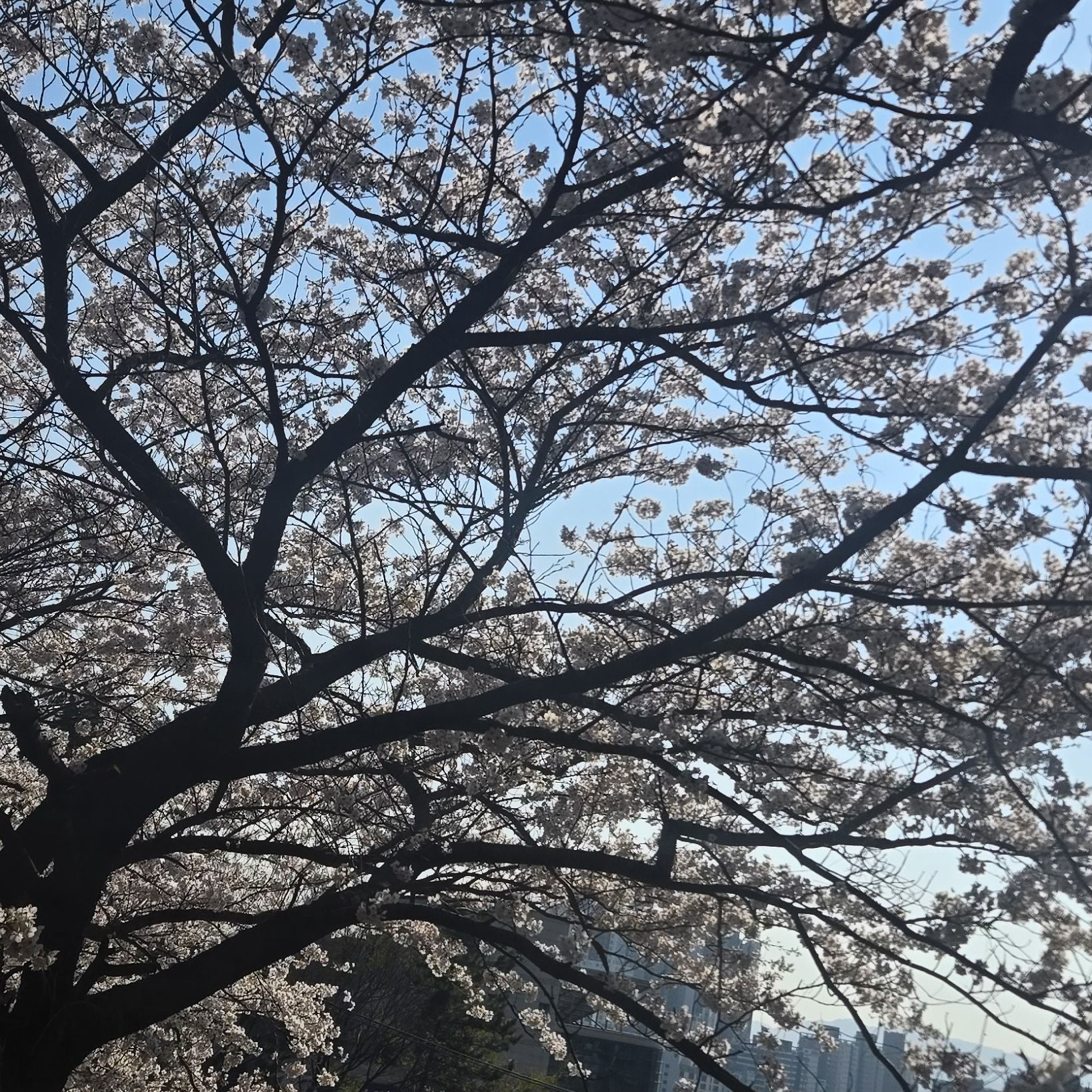 세계관 대표 이미지