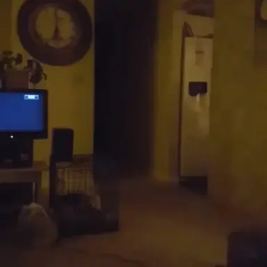 Profile image of Malcolm