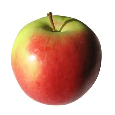Profile image of Han Yul