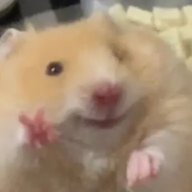 Profile image of 이창섭