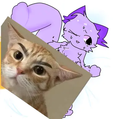 Profile image of 미코