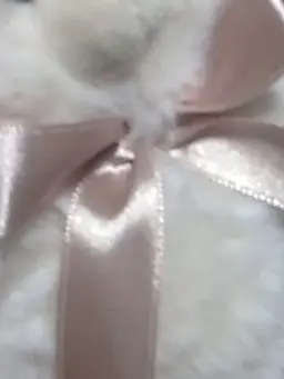 Toretate0414의 ど っ き り