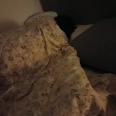 Profile image of 언니