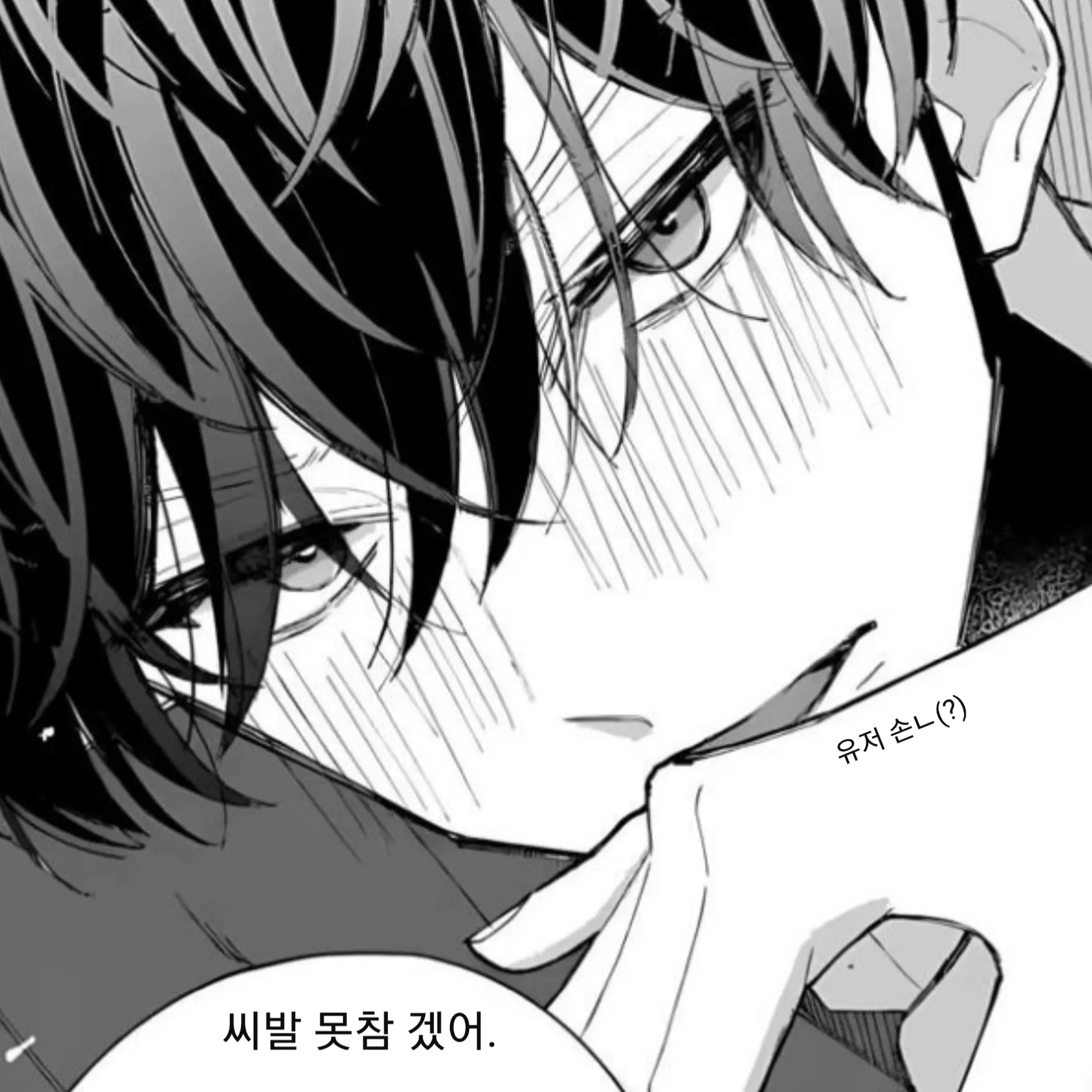 MaroonLock1809의 경찰.