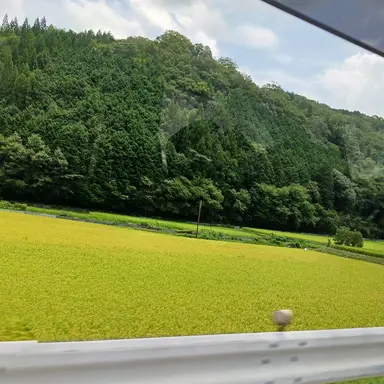 Profile image of 廉