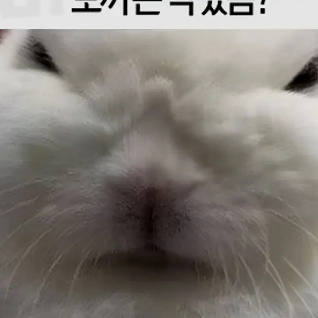 SilentStoat7439의 마린이 로블