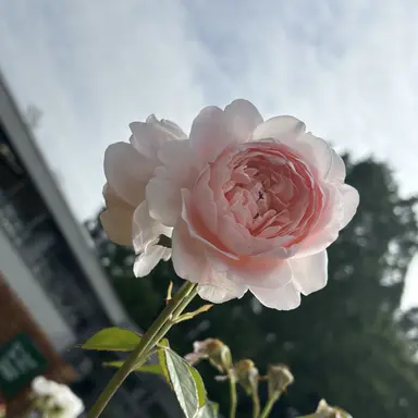 Profile image of 生徒達