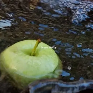 Tomisbest의 드레이코 말포이