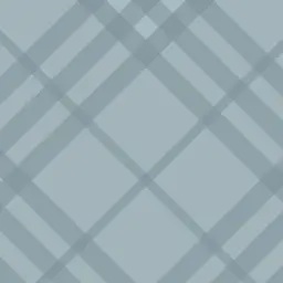 Profile image of ラン