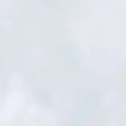 Profile image of モトキ