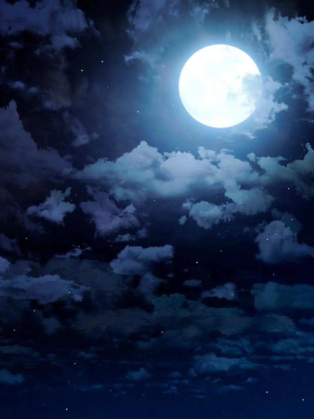 SmugFrond6509의 捕まえれない、！！