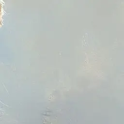 Ricori의 시험용