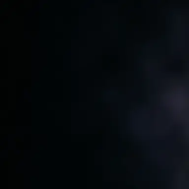 Profile image of 박 성 호