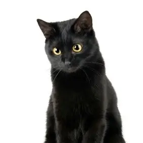 Profile image of 이민호