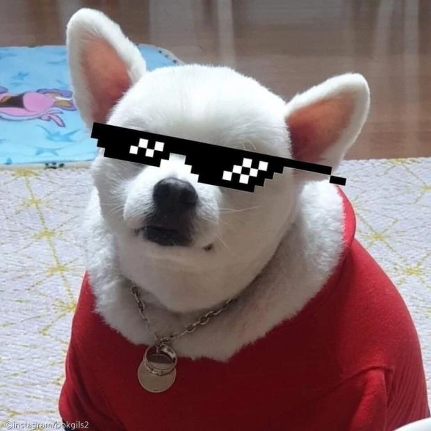 테스트용