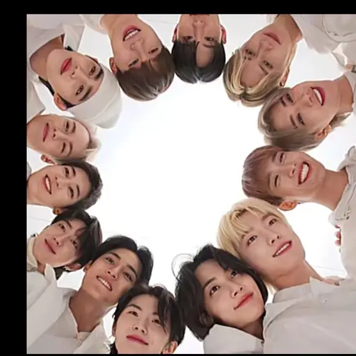 AgedPlain2756의 세븐틴 막내