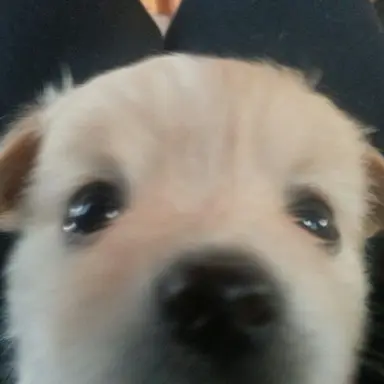 Profile image of 김규빈