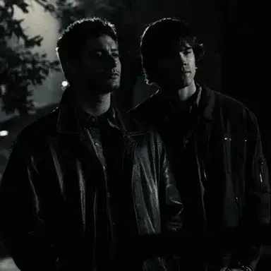 Profile image of The Winchesters