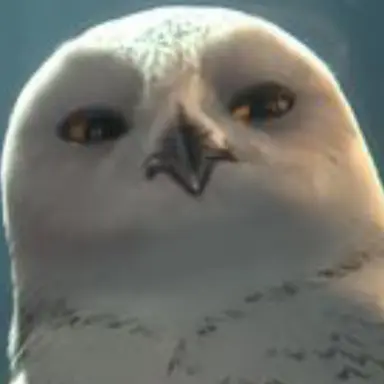 Profile image of Barran