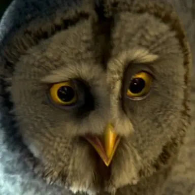 Profile image of Twilight