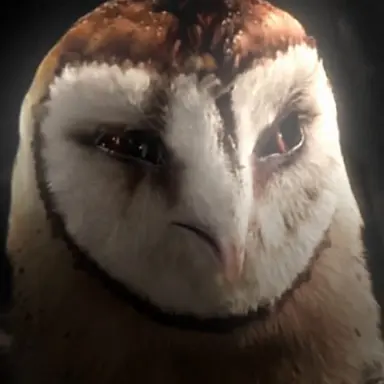Profile image of Kludd