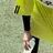 김선우