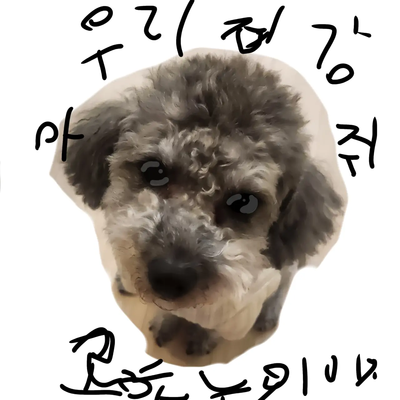 AngryZorse2218의 대저택가족