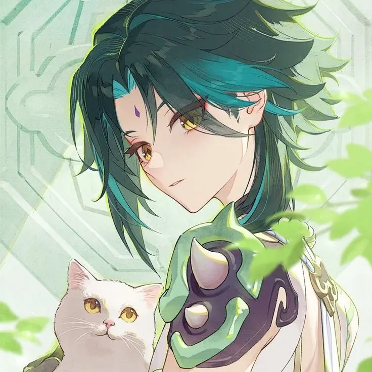 123meow의 소