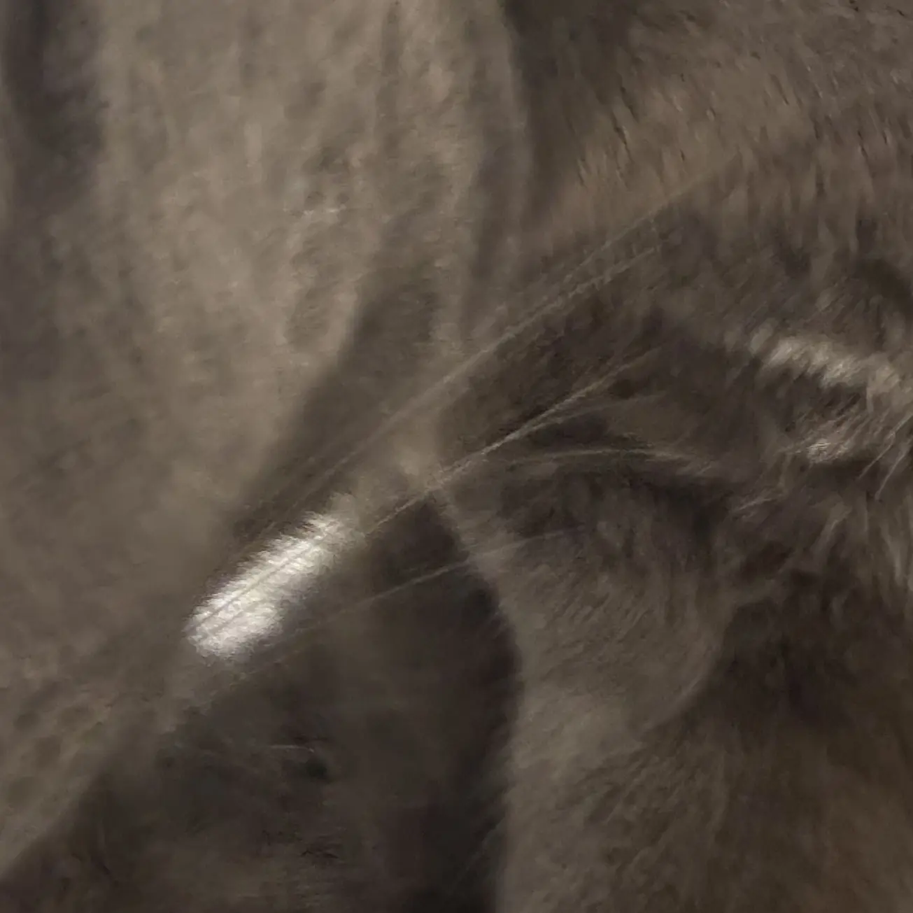 RainyOptic7150의 休んでください当主様