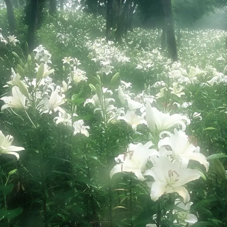 Ax0808의 『생각나지 않아. 근데 익숙해.』
