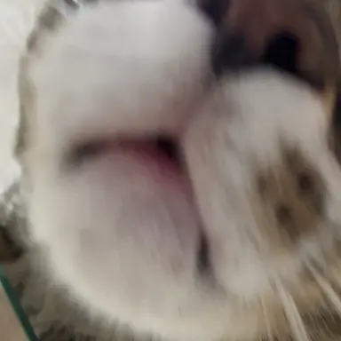 Profile image of 이민호